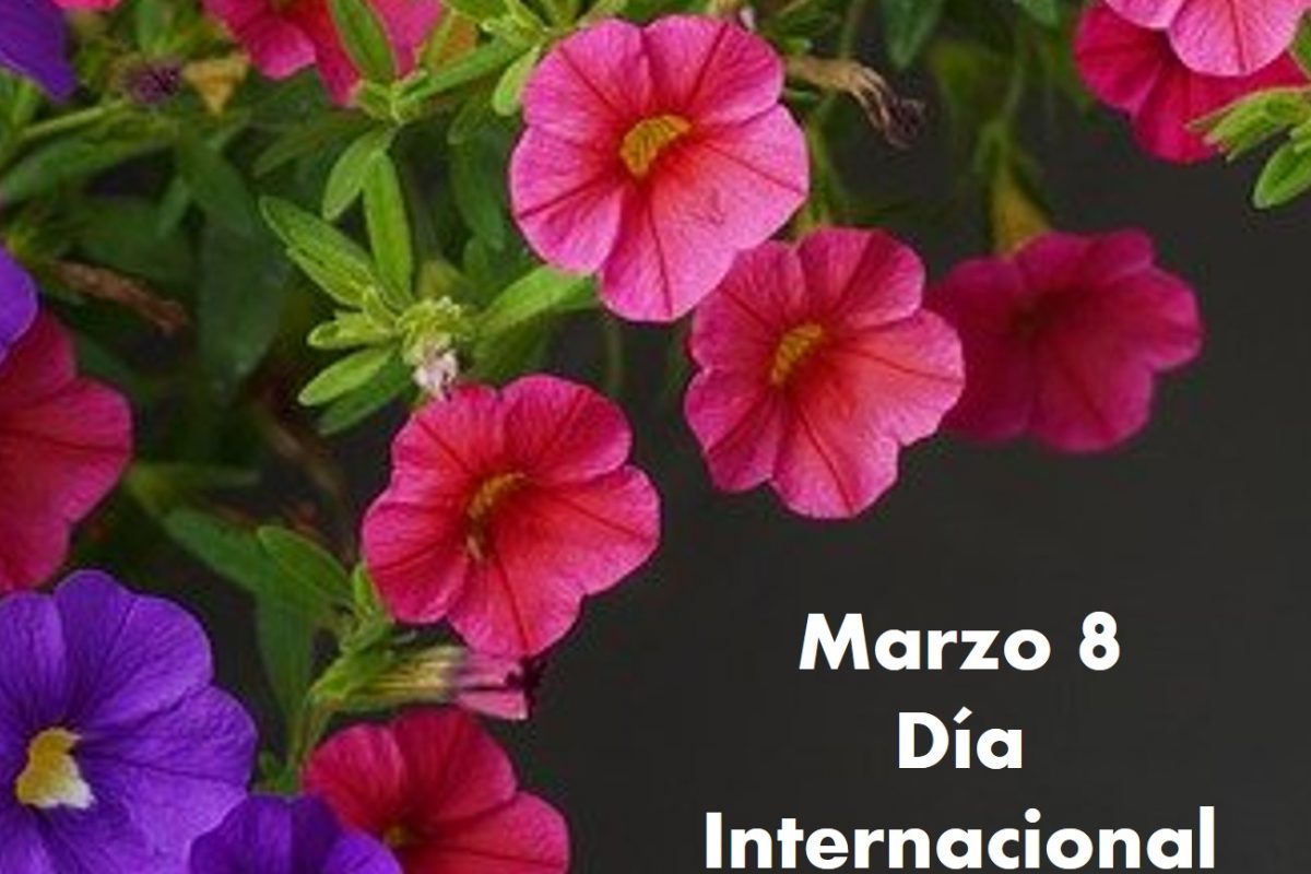 Día Internacional de la Mujer