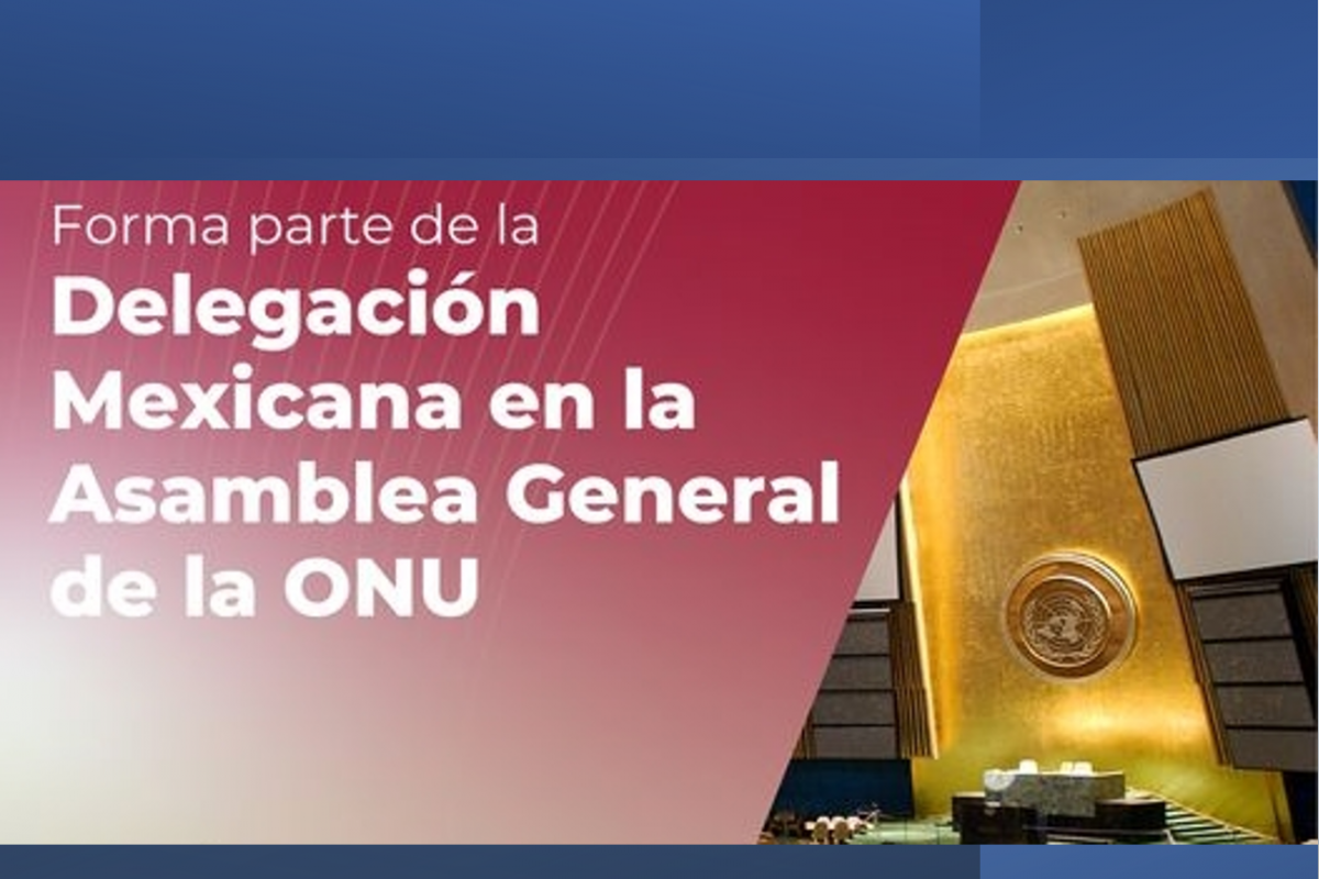 Forma parte de la Delegación Mexicana en la Asamblea General de la ONU
