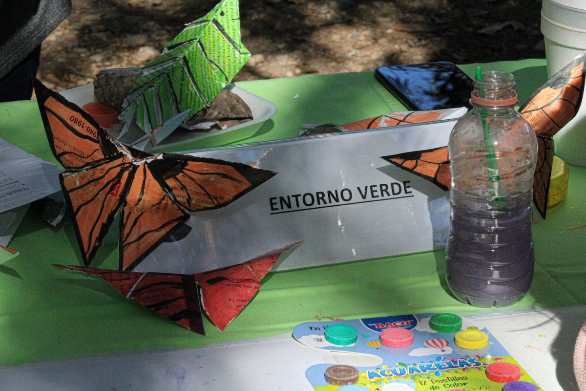 Entorno Verde participó en Festival de la Mariposa Monarca en Chipinque