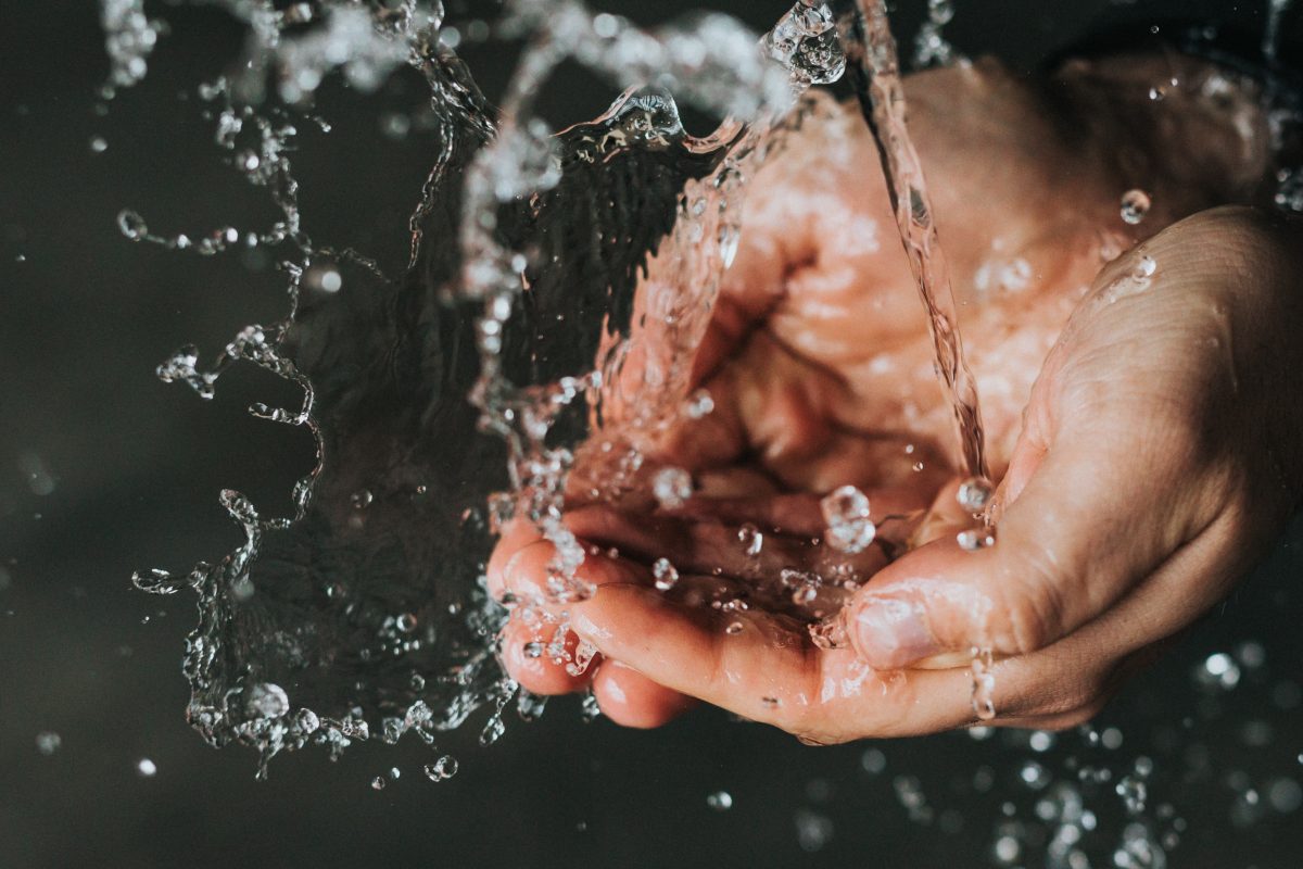 Día Mundial del Agua: medidas para contribuir a su cuidado desde casa