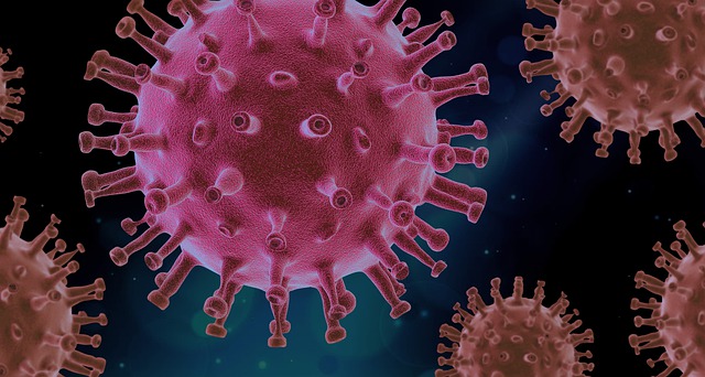 Tercera Ola de la Pandemia del COVID 19: Nuevas Variantes, Vacunas, Riesgos y Realidades