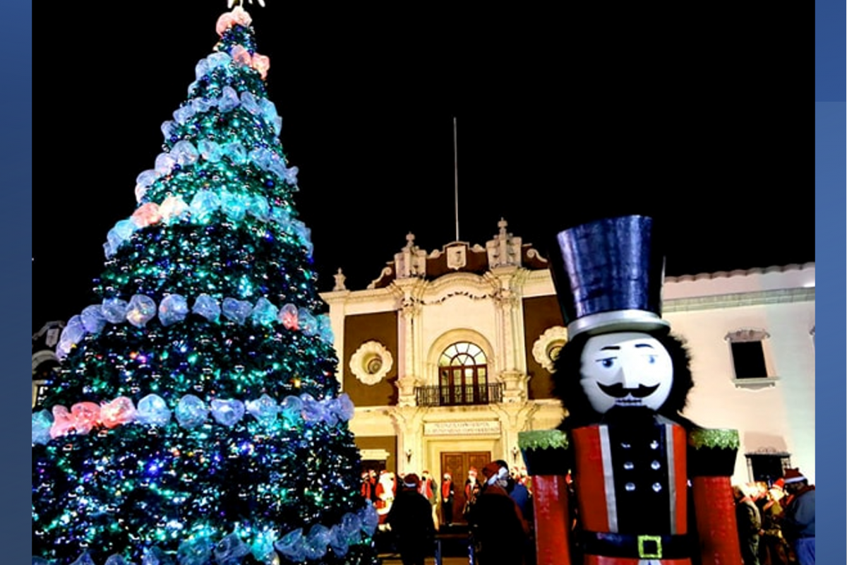 Encendido del Pino Navideño