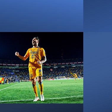 Tigres ruge en El volcán.