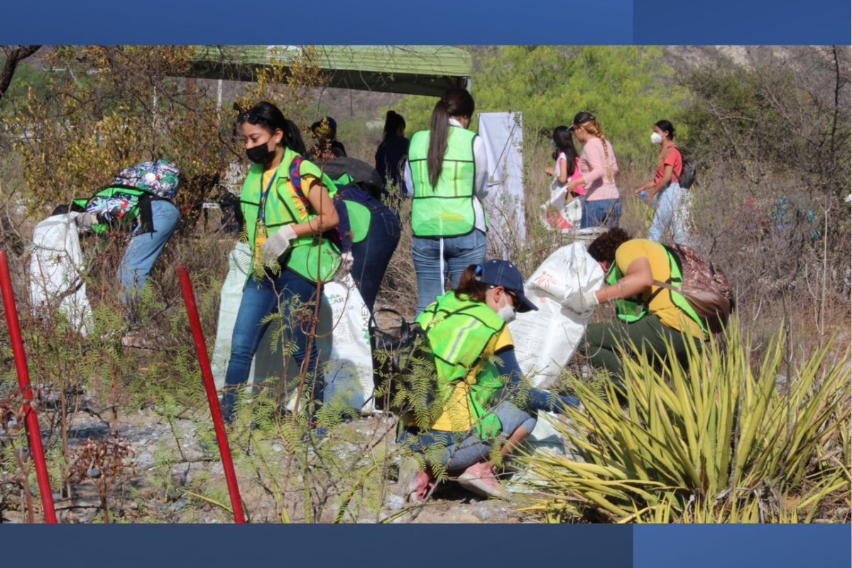 “Jornada de recuperación de ambientes naturales en zonas urbanas”