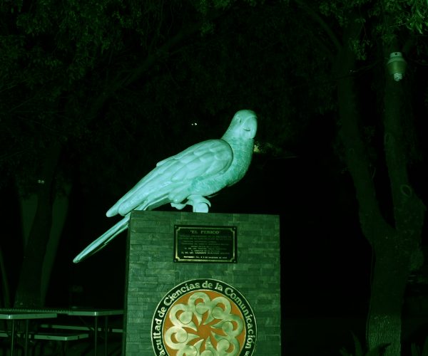 ¿Por qué iluminaron de verde los edificios de la FCC?