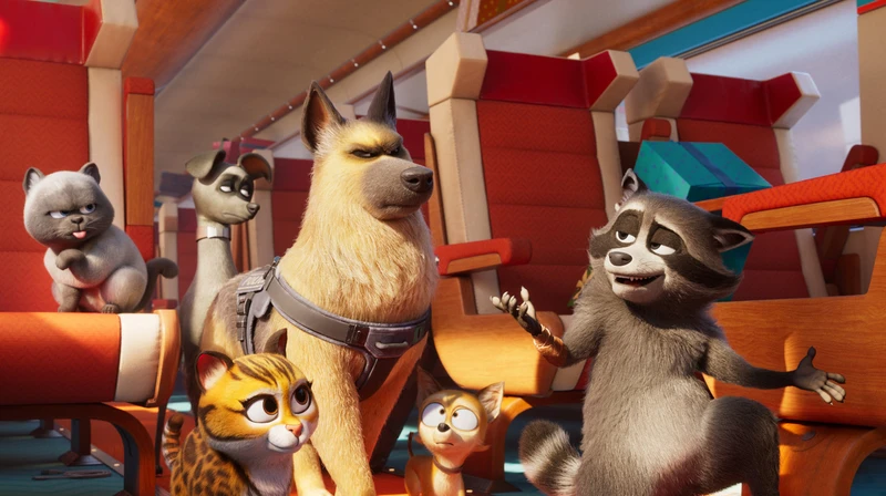 Mascotas al Rescate; la grandeza detrás de los más pequeños